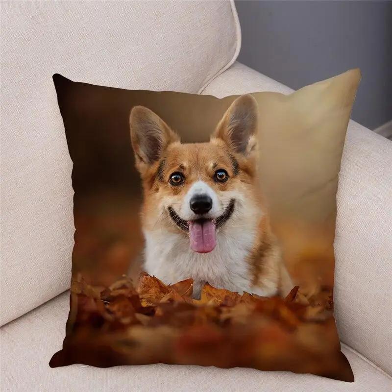 Cute Welsh Corgi Pembroke Dog Pillow Case Cm Cushion Cover Polyester Decorative Pet Animal   Car Sofa Home