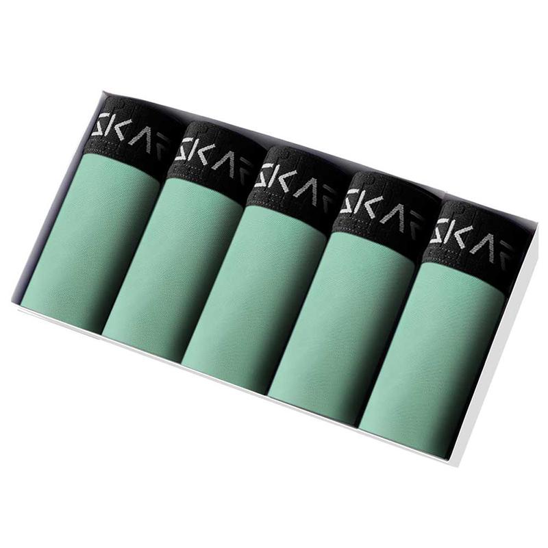 5PCs Pack 2025 Men Panties New Print Underwear Man Brand Boxer And Underpants For Homme Luxury Set Sex Polyester Shorts Slip