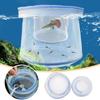 Breathable Aquarium Fish Isolation Box Multiple sizes Small Fry Breeding Box  Fish Care Equipment