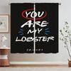 Friends Tulle in Kitchen Curtains for Living Room Cover Curtain Tiebacks Black Out Curtains Blackout Blinds Bedroom Decoration