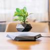 Household Levitating Air Bonsai Pot Rotation Flower Pot Planters Potted Plant Without Plants Magnetic Suspension Floating Pot
