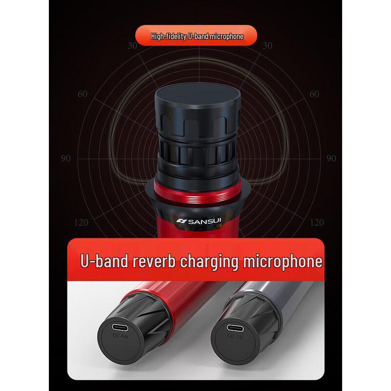 SANSUI C6 All-in-One Portable KTV Karaoke System