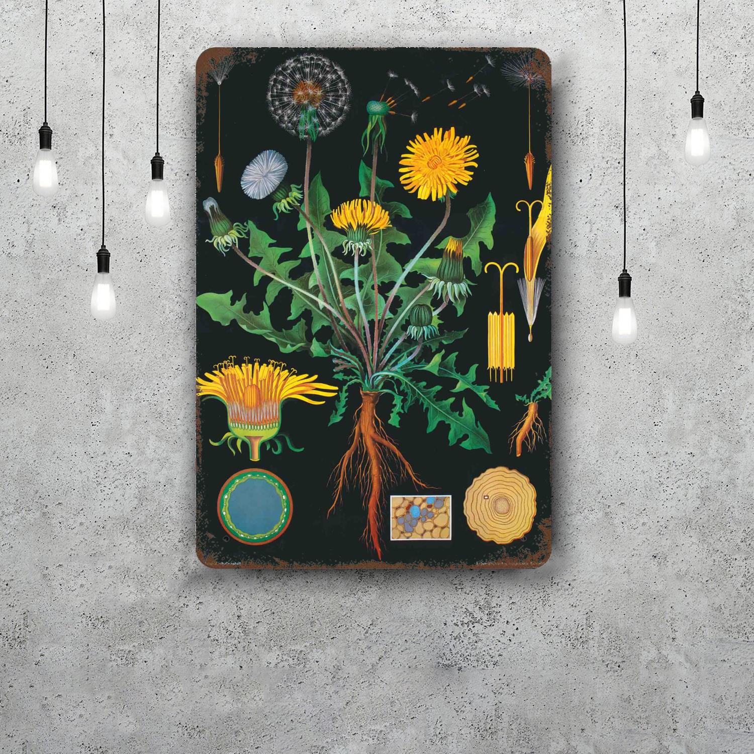 

botanica Decor Poster Vintage Tin Sign Metal Sign Decorative Plaque for Pub Bar Man Cave Club Wall Decoration 20x30cm（7.8x11.8inch）