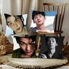 Actor And Singer Xu Guanghan Pillow Case Fashion Square Pillowcase Bedroom Sofa Room Ins Decoration Leisure