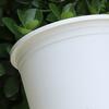 Pothos Planter with Saucer Flowerpot with Drainage Holes Ventilated Plant Pot for Roses Orchids Blueberries Indoor Outdoor Use