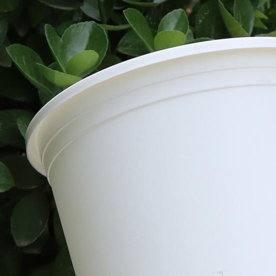 Pothos Planter with Saucer Flowerpot with Drainage Holes Ventilated Plant Pot for Roses Orchids Blueberries Indoor Outdoor Use