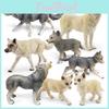 Wolf Animals Wild Pvc Animal Model Toy Wildlife Collectible Desk Ornament Gift