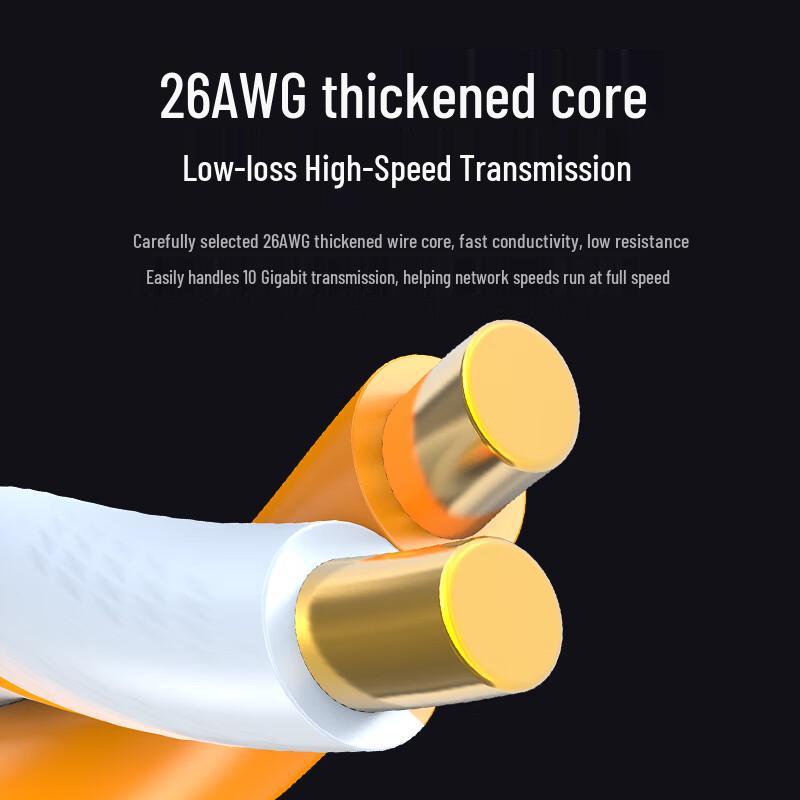 Shengwei Cat6A Shielded Ethernet Patch Cable