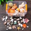 Beach Seashells Decoration Starfish Sea Snail Coral Ornament for Wedding Party