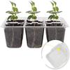 6/12 Hole Horticulture Seedling Box Set Breathable Grow-tray System New Insulation Planting & TransplantingKIT with Lighting