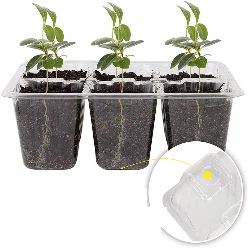 6/12 Hole Horticulture Seedling Box Set Breathable Grow-tray System New Insulation Planting & TransplantingKIT with Lighting