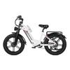 Nathaniel SYR08 Off-Road E-Bike 48V20Ah Battery 20 Inch Fat Tires 2*1000W Dual Motor All-Terrain Electric Bicycle For Adult