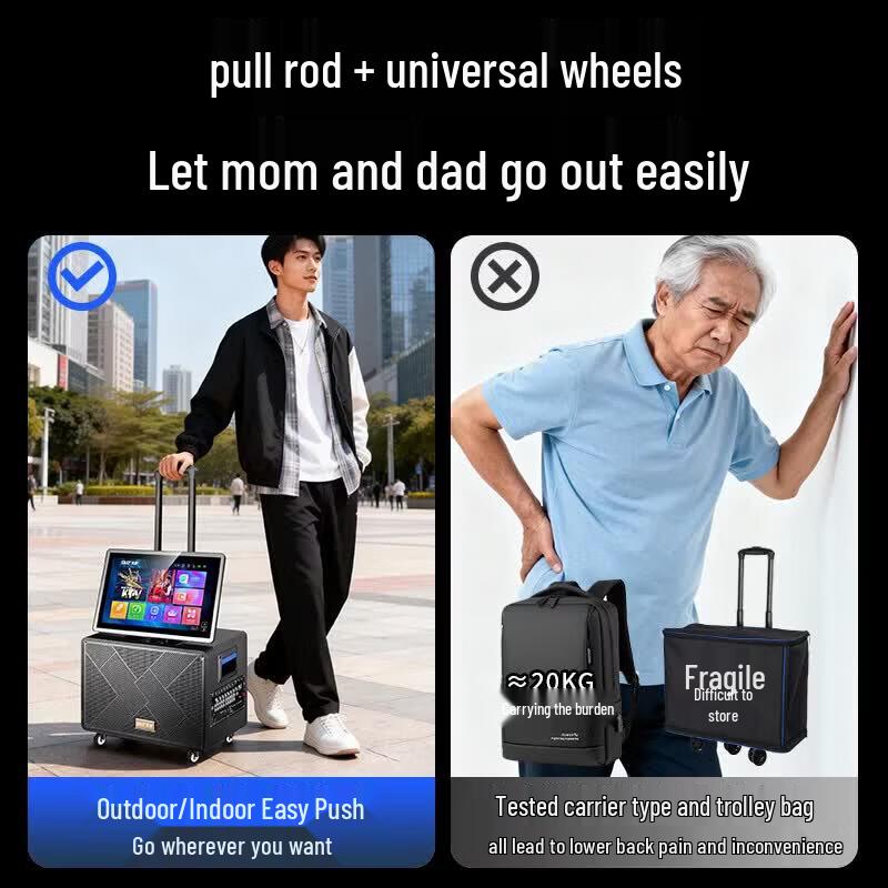 SAST SA-219 All-in-One Portable Karaoke Speaker System (CN version)