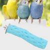 Pet Grinding Claw Bar Bird Cage Perches Standing Stick for Parrot Accessories(Blue S)