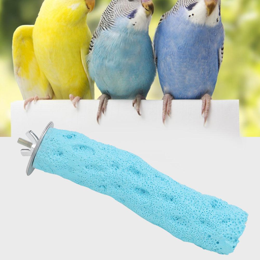 Pet Grinding Claw Bar Bird Cage Perches Standing Stick for Parrot Accessories(Blue S)