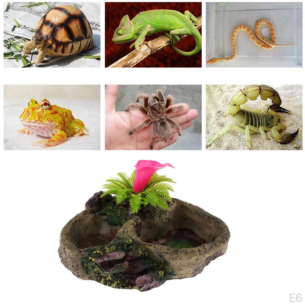 Voerbakjes Voor Amfibieën Gecko Hars Reptiel Schildpad Waterbakje Voedsel Speeltje Huisdierbenodigdheden