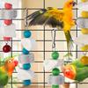 Bird Toy Colorful Hanging Parrot Toy with Beads Natural Wood Bird Cage Toy Grinding Stone Pet Supplies for Parrot Parakeet Hamster Rabbit