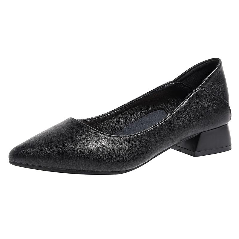 Thick Heel Low Heel Single Shoes Women's Spring and Autumn Style Temperament Pointed Work Shoes Are Not Tired Feet Shallow Mouth Middle Heel Commuting