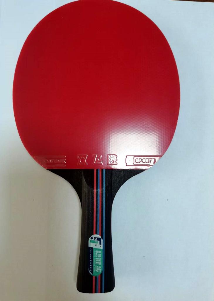 2024 New Table Tennis Set Professional Pingpong Racket Paddle Net With Carrying Bag