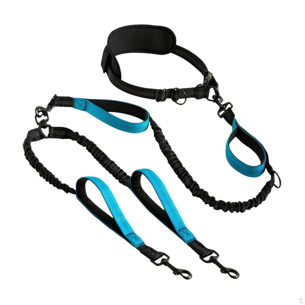 Double Dog Leash Retractable Hands Free No Pull Reflective Bungees for Canicross