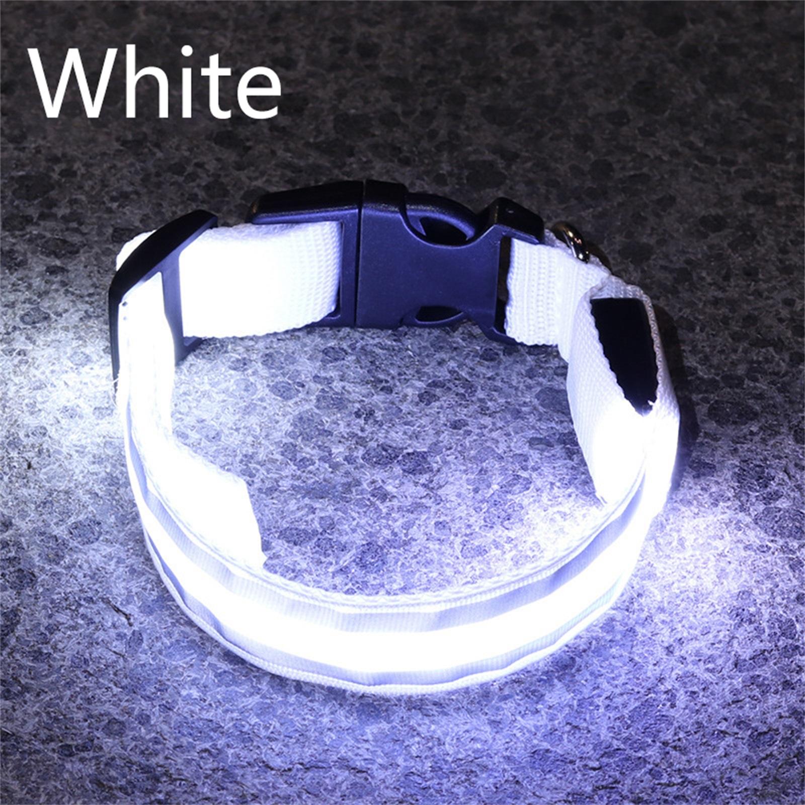 

-lost LED Glowing Dog Collar Pet Supplies For Nighttime Dog Walking, Collar With USB Charging And Built-in Reflective Material XS
