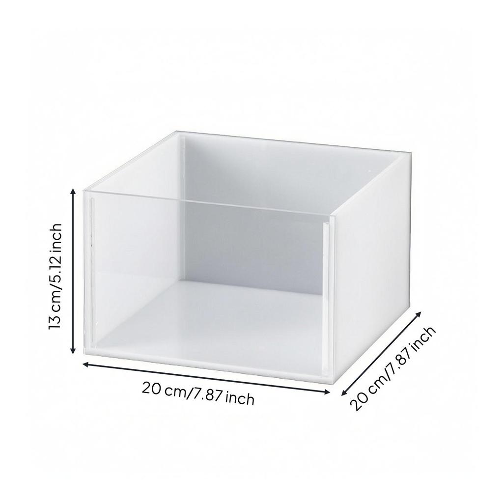 Transparent Acrylic Display Box with Assembled Panels Clear Reptile