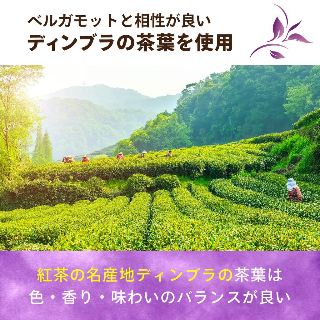 Lipton Earl Grey Tea, 20 bags x 6 bags