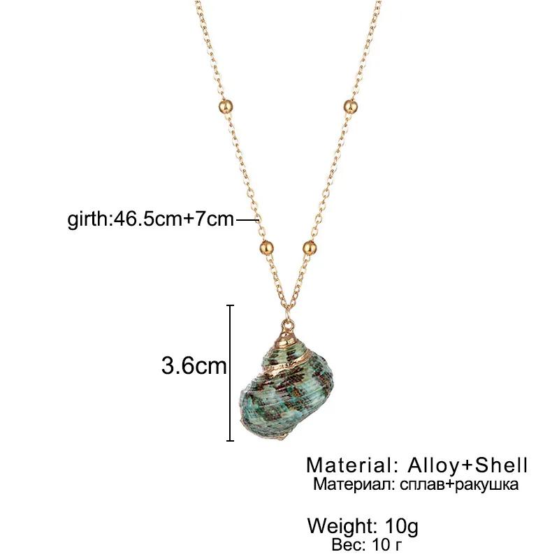 Conch Pendant Necklace for Women  Female Cowrie Summer Party Gift Zircon