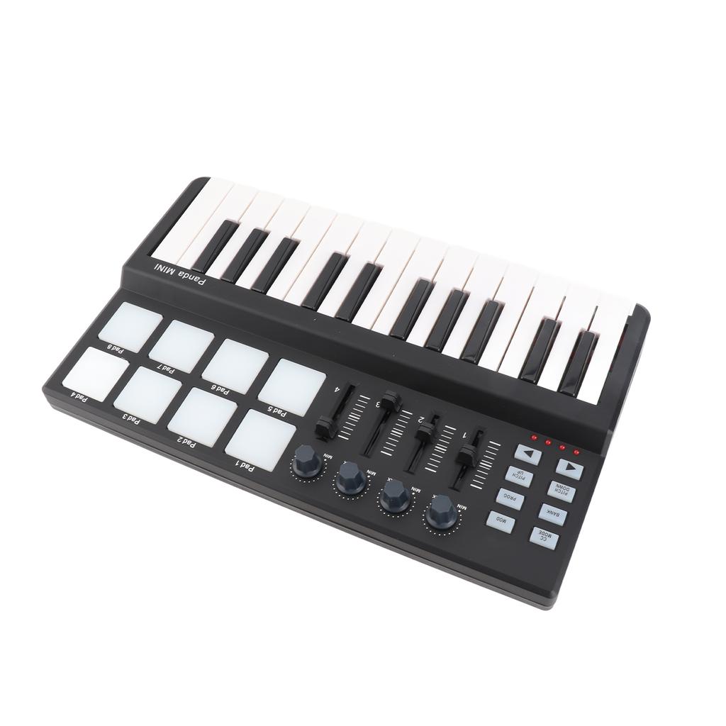 25 Key Ultra Portable USB MIDI Keyboard Controller with 8 Colorful Backlit Trigger Pads