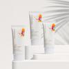 (Korea Beauty) Bontree Berry Essence Sunblock (50ml X2)