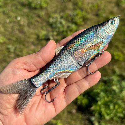 Neues Modell 17 cm 43 g mehrteiliger weicher Schwanzfisch 3D realistischer Angelköder