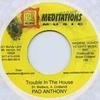 7inch Record PAD ANTHONY / RADCLIFFE "DOUGIE" BR - Trouble In The House / No Money 101 Meditations Mus 2006 Jamaica Reggae, Ska & Dub Used