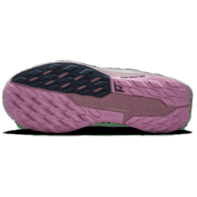 Nike Жіночі кросівки Pegasus Trail 5 Plum Dust Purple Platinum-Violet Beyond-Pink DV3865-500