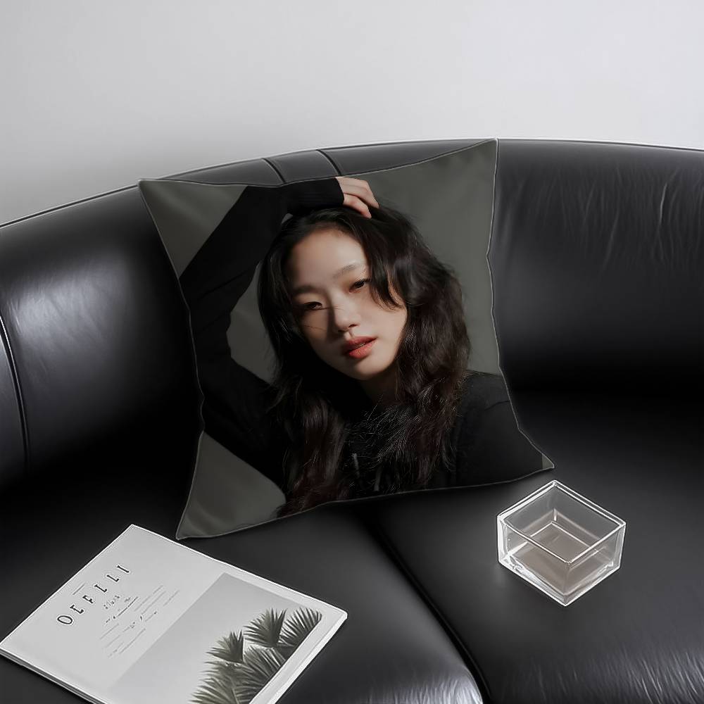 Корейская K-Kim Go Eun Наволочка Антипылевой клещ Невидимая молния Диван-кровать 12x12Inch