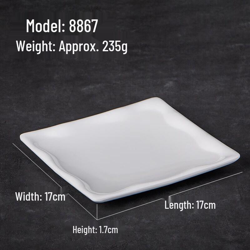 A5 Melamine Irregular Snack & Cold Dish Plates (5-pack)