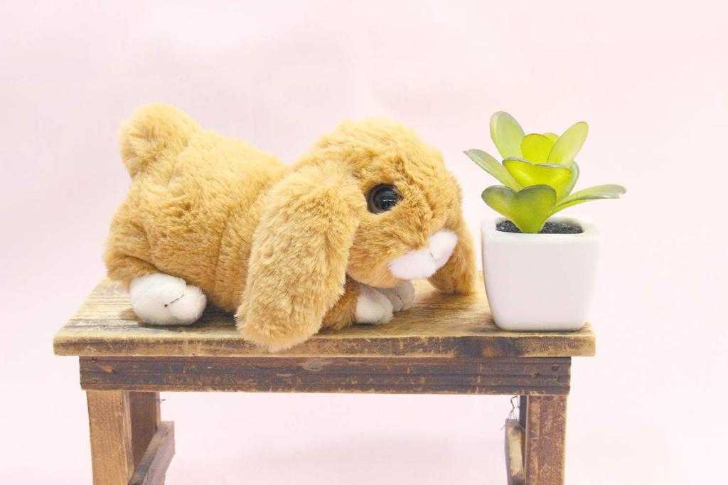 Take Off Rabbit Maron Holland Lop Light Brown