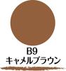 SANA New Born W Brow EX B9 Powder & Pencil & Brush 3-function Eyebrow Camel Brown 1 piece (x 1) Eyebrow