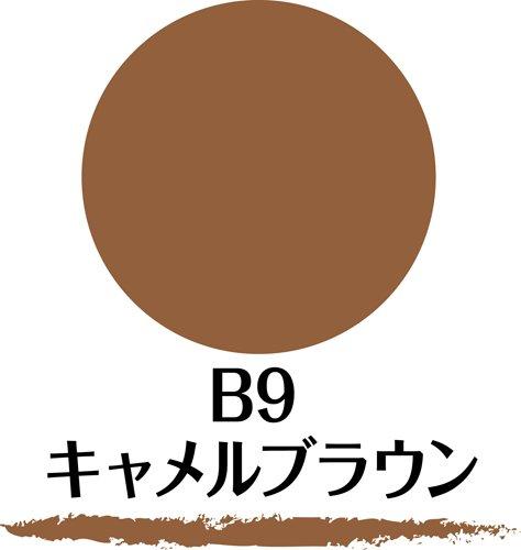 SANA New Born W Brow EX B9 Powder & Pencil & Brush 3-function Eyebrow Camel Brown 1 piece (x 1) Eyebrow