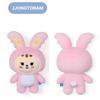 Seventeen Miniteen Plush Toy