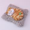Orange Sleeping Cat