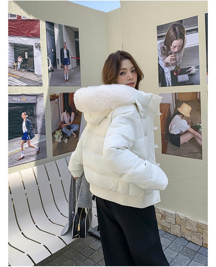 Women’s Short Big Fur Collar Hooded Windproof Thicken Warm Winter Jacket
