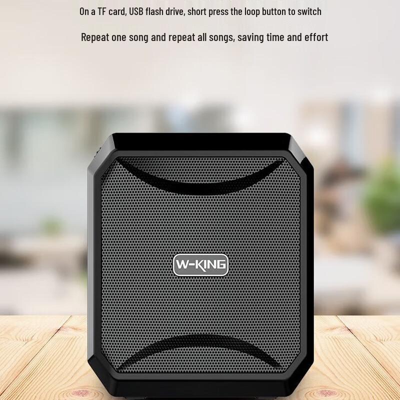 W-King KS01 Portable Voice Amplifier
