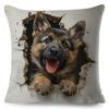 3D Crack Wall Lifelike Puppy Print Throw Pillow Cover Gentle Skin Touch Sofa Bedroom Household Decor Present