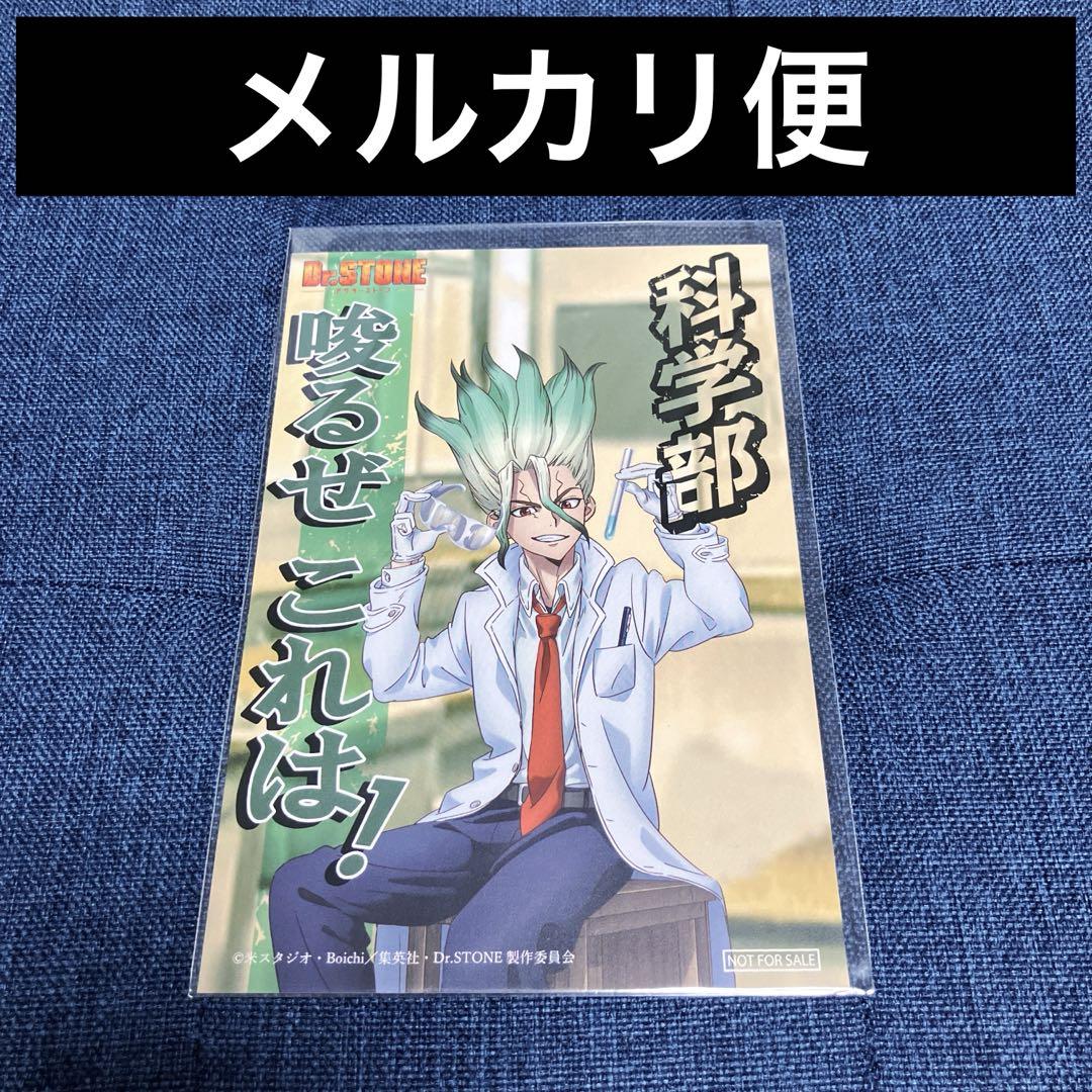 

[USED] Rare Dr. Stone Kujibikido White Coat Postcard Bonus Senku