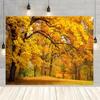 2D Plane, 1 Piece of Vibrant Autumn Tree Background, Suitable for Home and Garden Decoration, Parties and Events