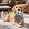 Dog Plush Sloth Toy Interactive Squeaky Pet Chew Toy Teeth Cleaning Stuffed Animal Soft Puppy Teething Toy for Dogs Tug-of-War Boredom Relief