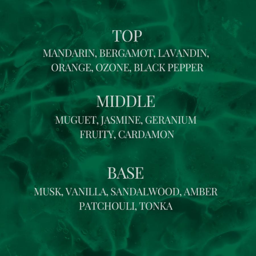 Mielle Black Iron Wet Wax 150g