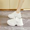 Dad shoes women's new 2025 spring thick-soled small sports shoes Hong Kong style casual little white shoes children's tide J01
