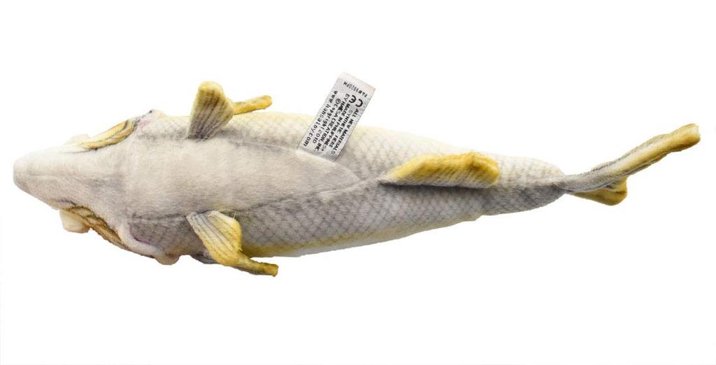 Sea Bass No. 6052