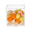 Conjunto de 12 Caixas Transparentes à Prova de Poeira para Embalar Doces Caixas de Armazenamento de Plástico para Doces e Biscoitos Recipientes Quadrados Cúbicos